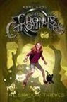 Anne Ursu, Eric Fortune - The Shadow Thieves