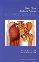 Terese L. Horlocker, Terese T. Horlocker, Terese T. (Mayo Clinic Horlocker, Horlocker Terese T., L. Lennon, Robert Horlocker Lennon... - Mayo Clinic Analgesic Pathway