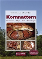 Philipp Berg, Gunther Köhler, Günther Köhler - Kornnattern
