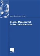 Volke Brinkmann, Volker Brinkmann - Change Management in der Sozialwirtschaft