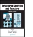 Andrzej Cybulski, Andrzej Moulijn Cybulski, Claudia von Scala, Andrzej Cybulski, Andrzej (Warsaw Cybulski, Cybulski Andrzej... - Structured Catalysts and Reactors