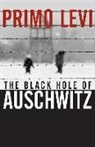 Marco Belpoliti, P Levi, Primo Levi, Primo Belpoliti Levi, Marco Belpoliti - Black Hole of Auschwitz