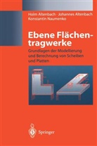 Hol Altenbach, Holm Altenbach, Johanne Altenbach, Johannes Altenbach, Kons Naumenko, Konstantin Naumenko - Ebene Flächentragwerke