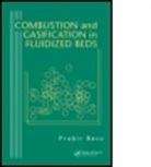 Prabir Basu, Basu Prabir - Combustion and Gasification in Fluidized Beds