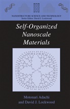 Motonar Adachi, Motonari Adachi, J Lockwood, J Lockwood, David J. Lockwood - Self-Organized Nanoscale Materials