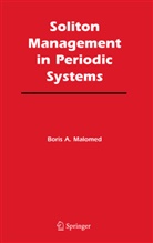 B. A. Malomed, Boris A Malomed, Boris A. Malomed - Soliton Management in Periodic Systems