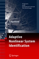 Tokunbo Ogunfunmi - Adaptive Nonlinear System Identification