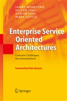 Ashish Jain, Ashish et al Jain, Mark Little, Jame McGovern, James McGovern, Olive Sims... - Enterprise Service Oriented Architectures