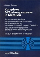 Jürgen Gegner - Komplexe Diffusionsprozesse in Metallen