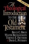 Bruce C. Birch, Bruce C. Fretheim Birch, Walter Brueggemann, Terence E. Fretheim, David L. Petersen - Theological Introduction to the Old Testament