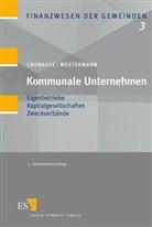 Ulrich Cronauge, Georg Westermann - Kommunale Unternehmen