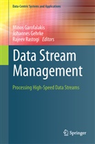 Minos Garofalakis, Johanne Gehrke, Johannes Gehrke, Johannes Gehrkle, Rajeev Rastogi - Data Stream Management