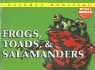 Chris McNab - Frogs, Toads, & Salamanders