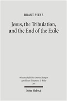 Brant Pitre - Jesus, the Tribulation, and the End of the Exile