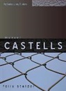STALDER, Felix Stalder, Felix (University of Applied Arts Social Sciences Stalder, Stalder Felix - Manuel Castells