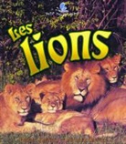 Amanda Bishop, Bobbie Kalman - Les lions