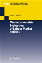 M. Caliendo, Marco Caliendo - Microeconometric Evaluation of Labour Market Policies