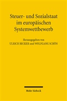Ulrich Becker, Wolfgang Schön - Steuer- und Sozialstaat im europäischen Systemwettbewerb