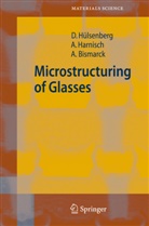 Alexand Bismarck, Alexander Bismarck, Al Harnisch, Alf Harnisch, Dagma Hülsenberg, Dagmar Hülsenberg - Microstructuring of Glasses