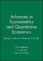 Morris H. DeGroot, Maddala, Peter C. Phillips, T. N. Srinivasan, G. S. Maddala, G. S. (Formerly of Ohio State University Maddala... - Advances in Econometrics and Quantitative Economics