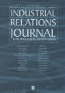 Brian Terry Towers, Michael Terry, Mike Terry, Brian Towers - Industrial Relations Journal European Annual Review