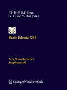Julian T. Hoff, Y. Hua, Ya Hua, R. F. Keep, Richard F. Keep, G. Xi... - Brain Edema XIII