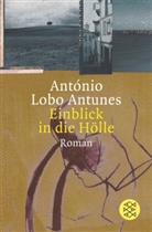 António Lobo Antunes, António Lobo Antunes - Einblick in die Hölle