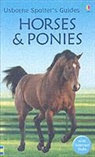 Joanna Spector - Horses and Ponies