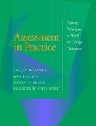 Jon P. Blac Associates Etc. Lund, Banta, Trudy W. Banta, TW Banta, Karen E Black, Karen E. Black... - Assessment in Practice