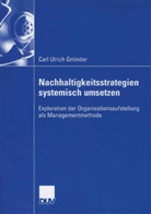 Carl U. Gminder, Carl Ulrich Gminder - Nachhaltigkeitsstrategien systemisch umsetzen
