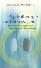 Albert Pietzko, Joachi Galuska, Joachim Galuska, Albert Pietzko, Joachim Galuska, Albert Pietzko - Psychotherapie und Bewusstsein