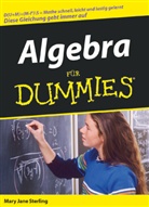 Mary J. Sterling, Mary Jane Sterling - Algebra für Dummies