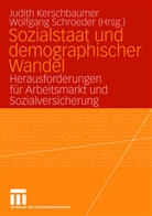 Judith Kerschbaumer, Wolfgang Schroeder - Sozialstaat und demographischer Wandel