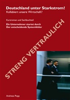 Andreas Popp - Deutschland unter Starkstrom