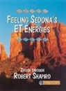 Robert Shapiro - Feeling Sedona's ET Energies