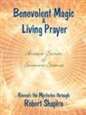 Robert Shapiro - Benevolent Magic