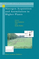 Sar Amancio, Sara Amancio, Sara Amâncio, Stulen, Stulen, Ineke Stulen - Nitrogen Acquisition and Assimilation in Higher Plants