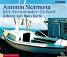 Antonio Skármeta, Hans Korte - Mit brennender Geduld, 3 Audio-CDs (Audio book)