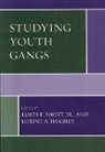 Jr. James F. Short, j hughes Short, James F. Short, James F. Jr. Short, Lorine Hughes, Lorine A Hughes... - Studying youth gangs