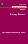 SZULANSKI ET AL, Yves Doz, Yves L. Doz, Joseph Porac, Joseph F. Porac, Gabriel Szulanski - Strategy Process