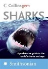 Leonard Compagno, Leonard/ Dando Compagno, Marc Dando, Sarah Fowler - Sharks