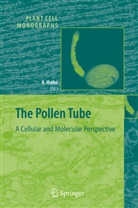 Rui Malho, Ru Malhó, Rui Malhó - The Pollen Tube
