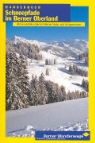 Wanderbuch Schneepfade im Berner Oberland