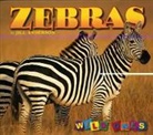 Jill Anderson - Zebras Wild Ones