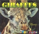 Jill Anderson - Giraffes Wild Ones
