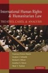 Et al, F.F. Martin, Francisco Forrest Martin, S. Schnably, Stephen J. Schnably, R. Wilson... - International Human Rights and Humanitarian Law