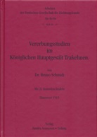 Bruno Schmidt - Vererbungsstudien im Königlichen Hauptgestüt Trakehnen