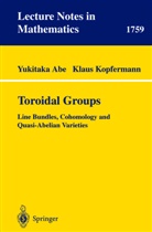 Yukitak Abe, Yukitaka Abe, Klaus Kopfermann - Toroidal Groups