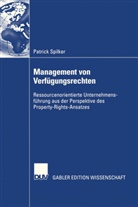 Patrick Spilker - Management von Verfügungsrechten