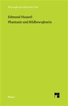 Edmund Husserl, Eduar Marbach, Eduard Marbach - Phantasie und Bildbewußtsein